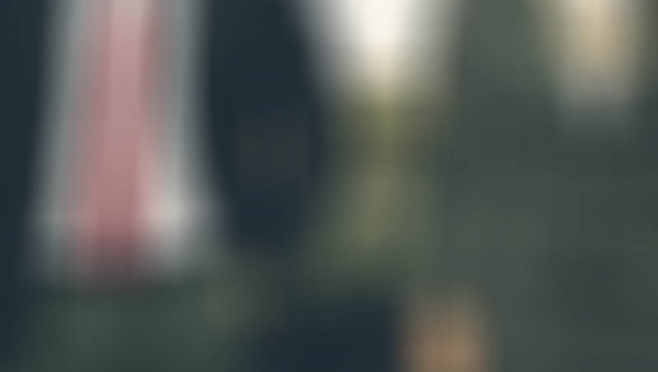 The New Threat to Wolves in and Around Yellowstone